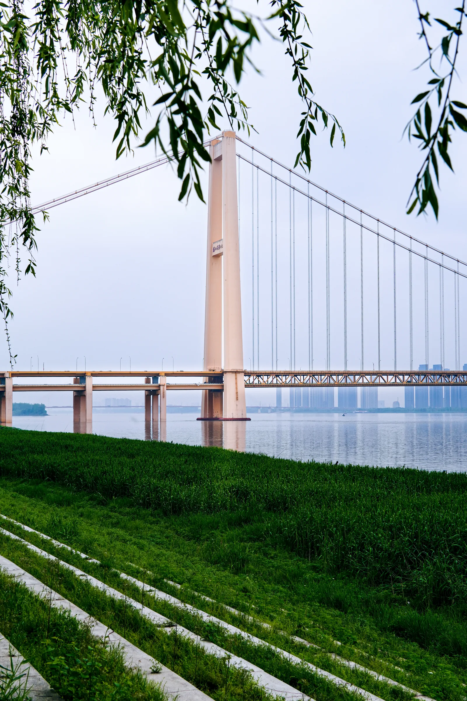 Bridge 3997