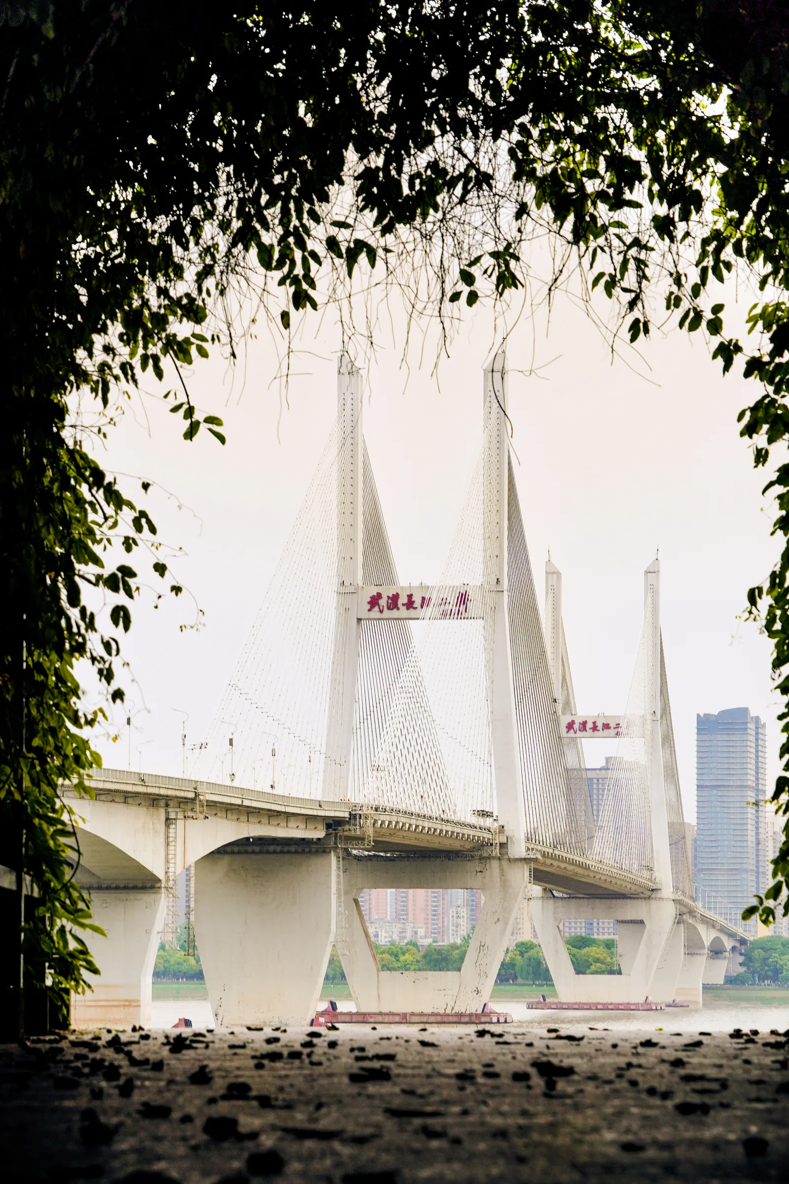 Bridge 4150