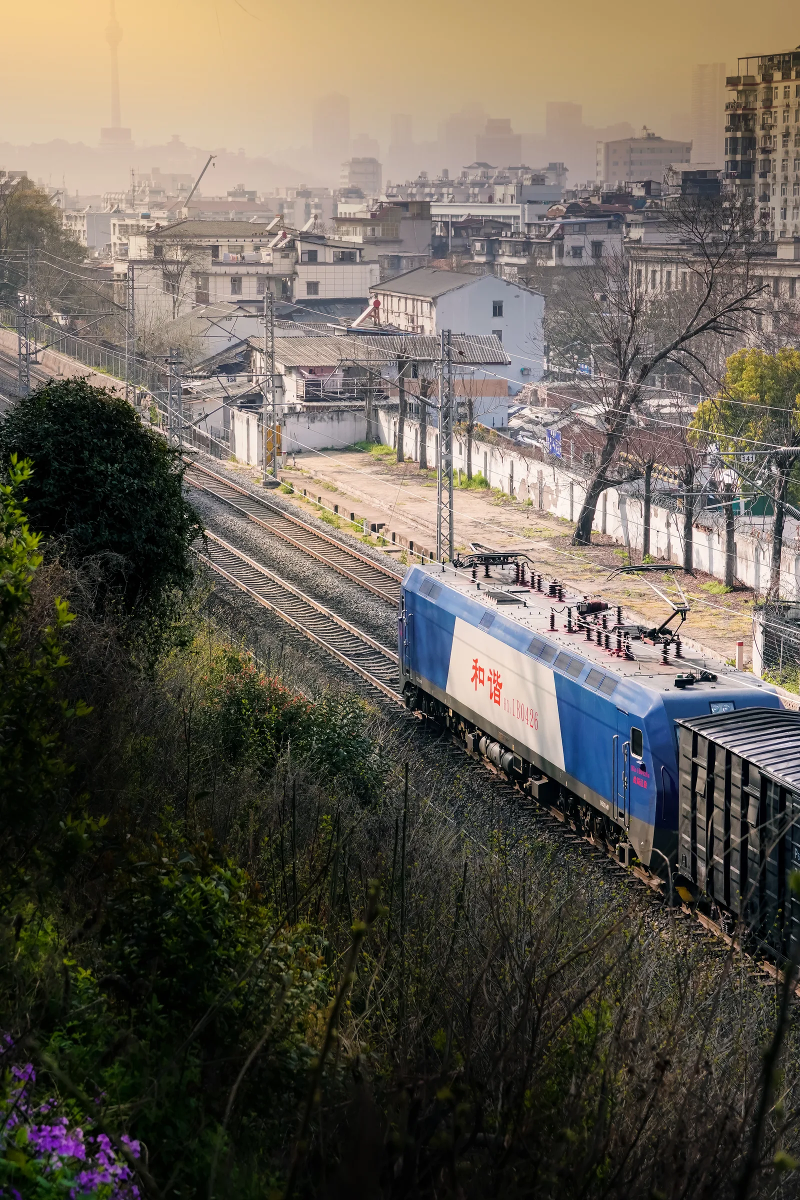 Train 31784